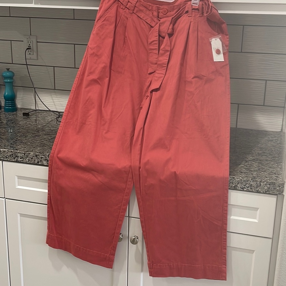 NWT Coral Pants by Time and True, relaxed fit, so 18